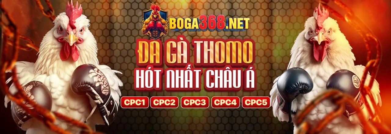 Các cấp độ VIP 33winn