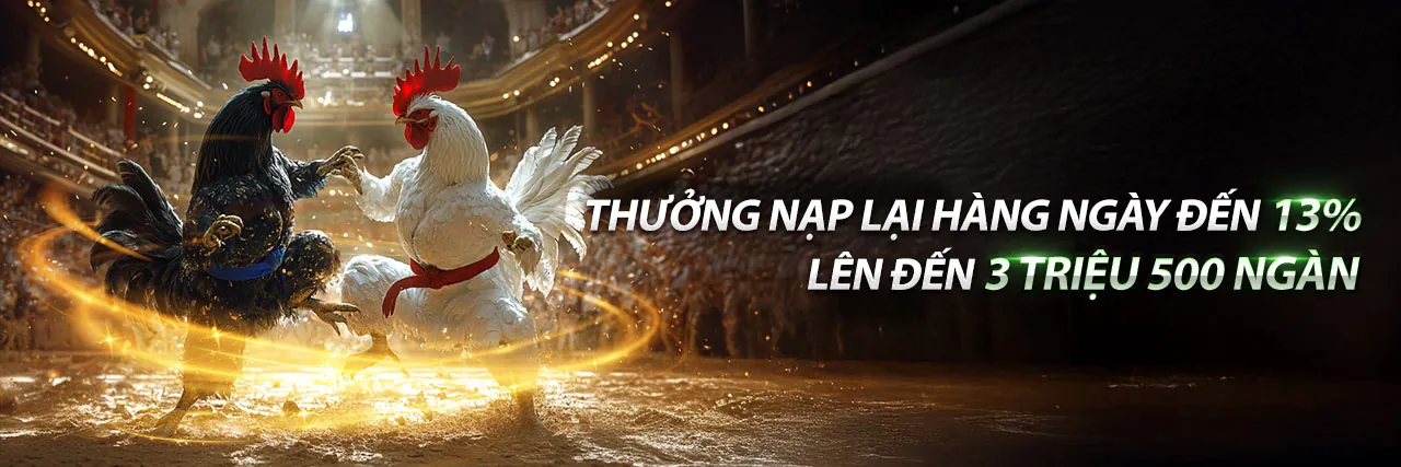 Sân vận động bóng đá với giao diện cá cược 33winn